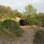 Der Weg mit Bunkereingang