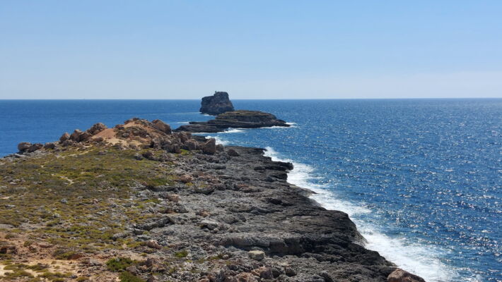 Geocache Fosiles Punta De El Toro