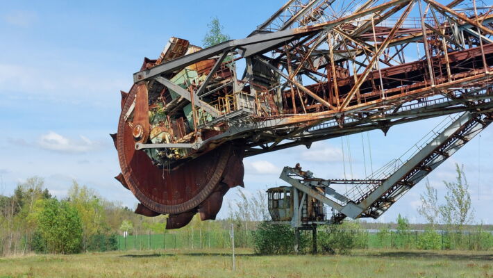 Blaues wunder birken wachsen auf dem bagger